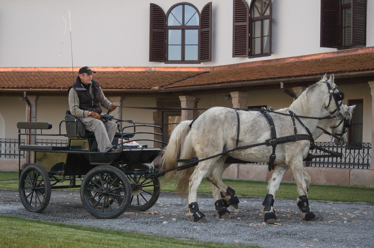 Castle Hotel Daniel Baraolt Εξωτερικό φωτογραφία
